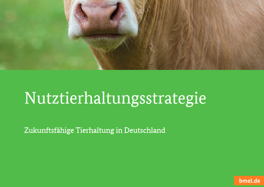 Nutztierhaltungsstrategie BMEL Nutztierhaltungsstrategie BMEL