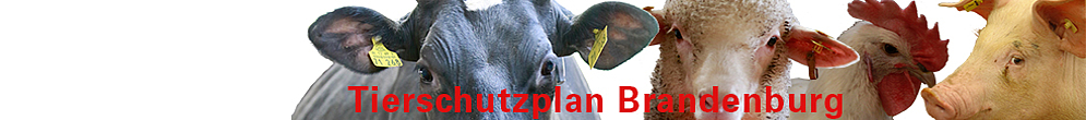 Tierschutzplan Brandenburg