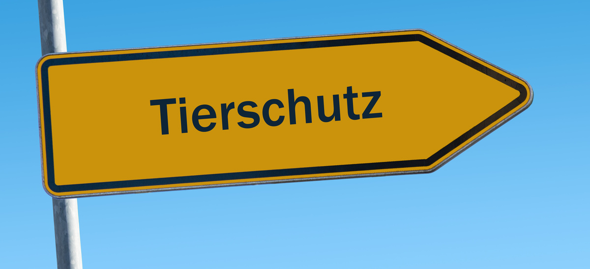 tierschutz_©thomas_reimer,_fotolia.com.jpg tierschutz_©thomas_reimer,_fotolia.com.jpg